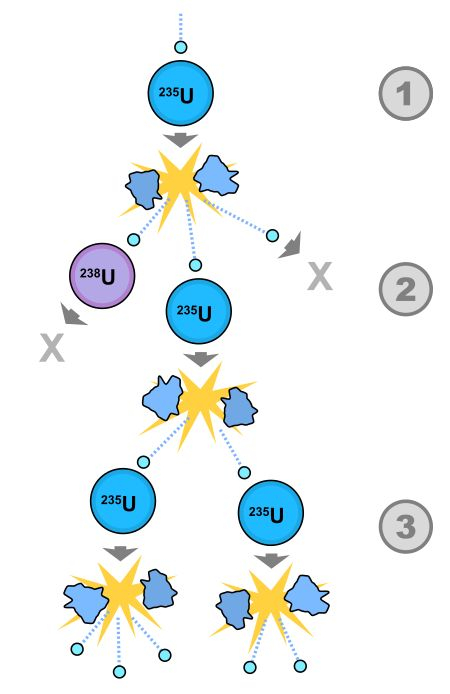 Diagram of a chain reaction. ① A uranium-235 atom absorbs a neutron and splits into two smaller new atoms, releasing three neutrons and binding energy. ② One neutron is absorbed by uranium-238 and does not continue the chain reaction; another does not collide with any other atom; the final neutron strikes another uranium-235 nucleus, releasing two neutrons and continuing the chain reaction. ③ Both neutrons strike uranium-235 nuclei, each releasing one to three neutrons, so the chain reaction continues. | Credit: knowpia