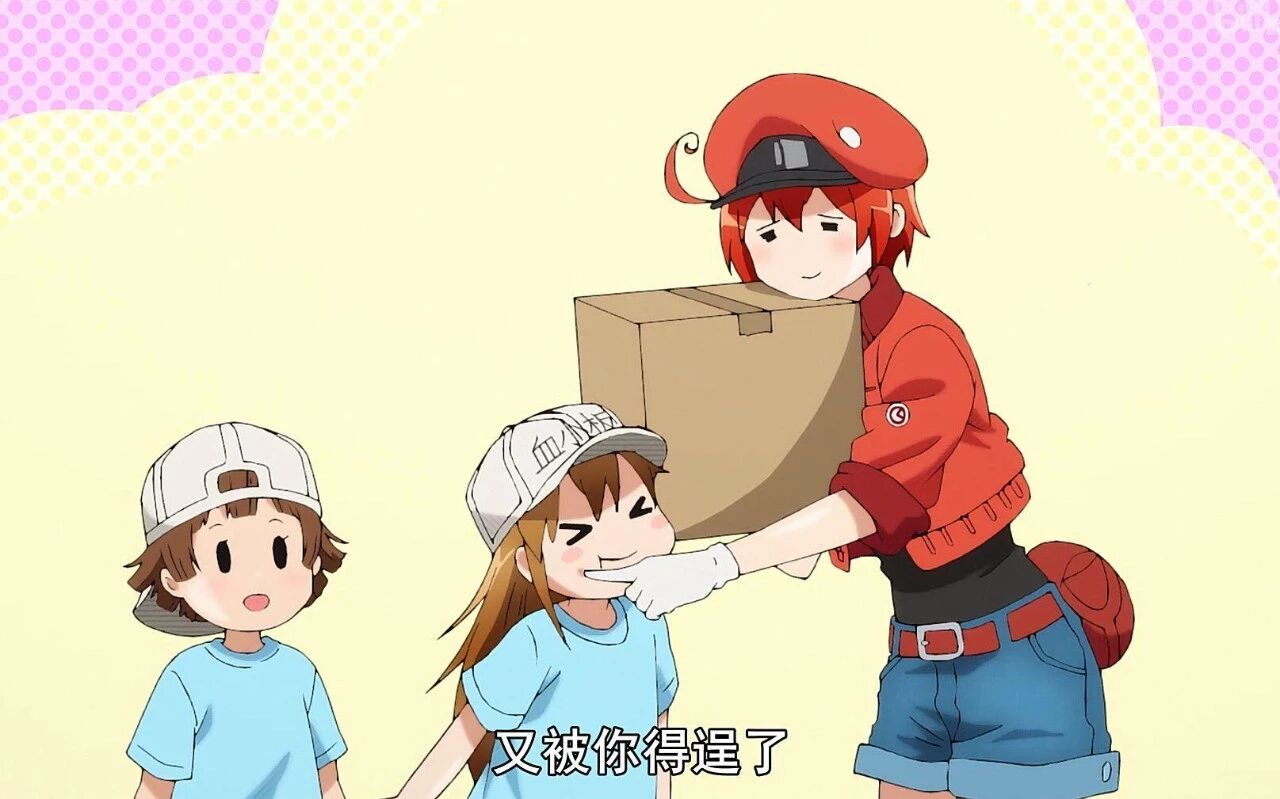 血细胞的物质代谢